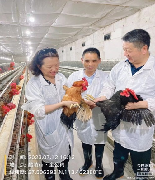图片5.jpg