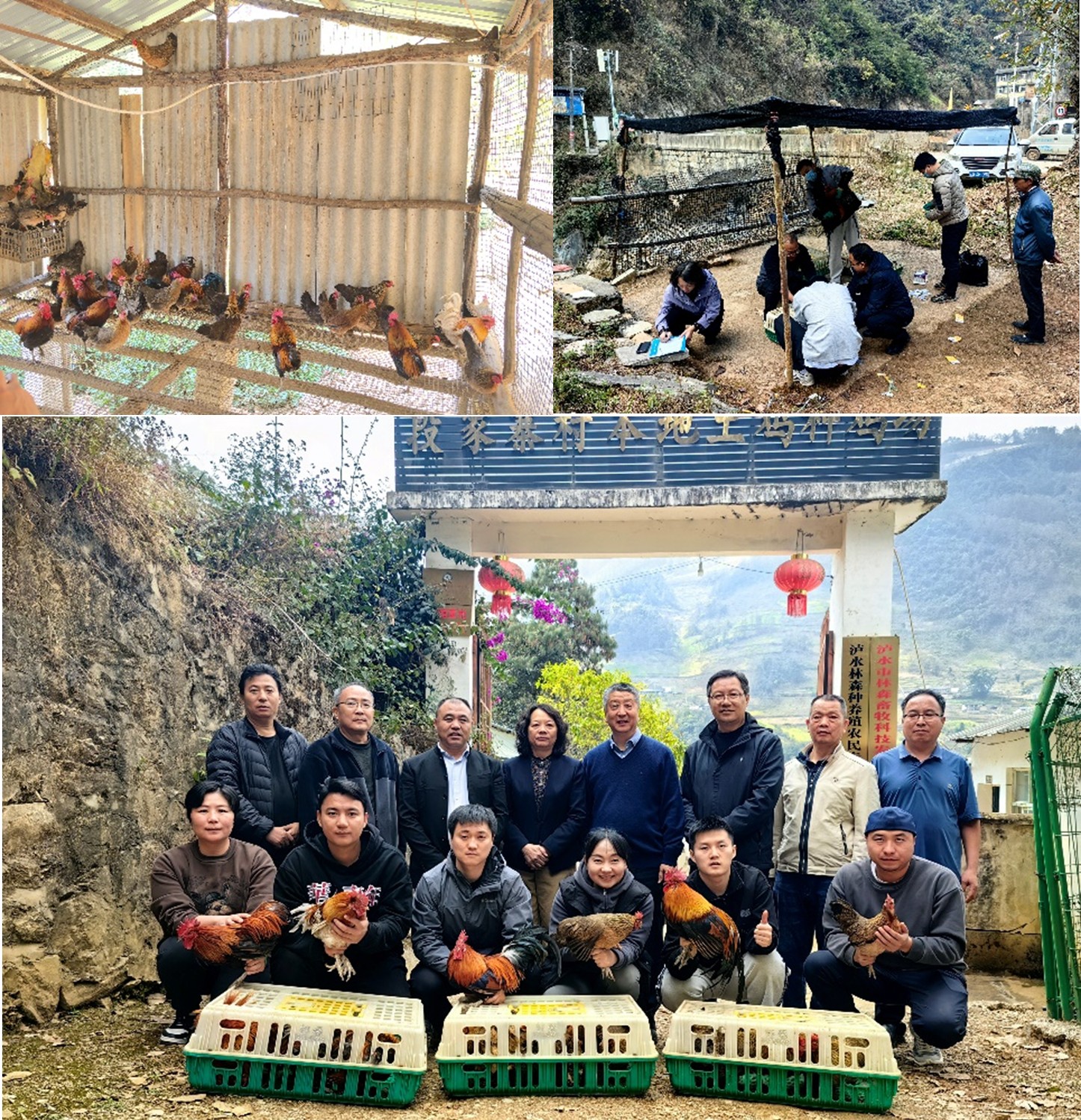 图片1.jpg
