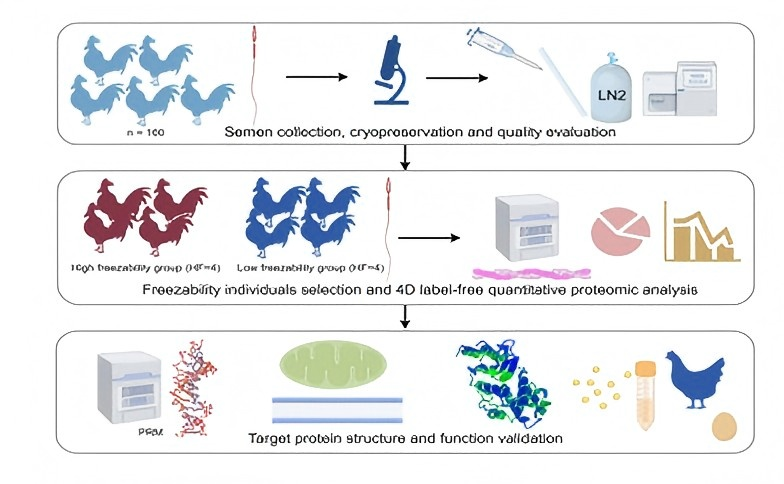 1742808602766422.png 2025324165326.png