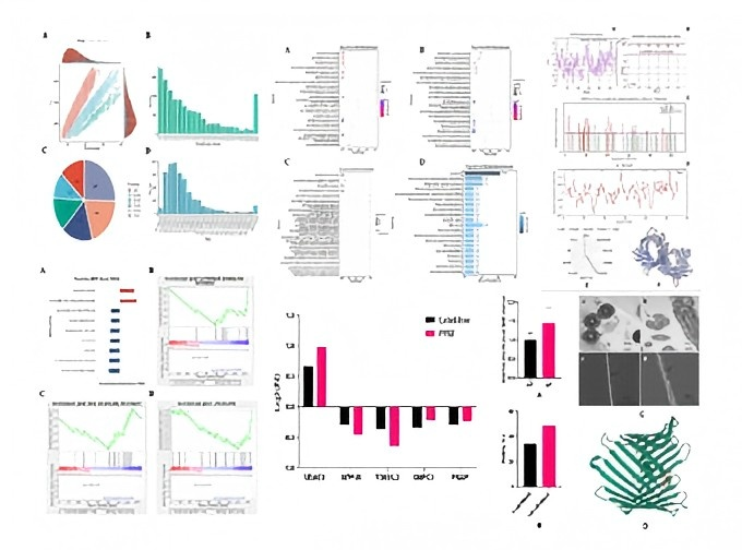 1742808646844599.png 2025324165330.png