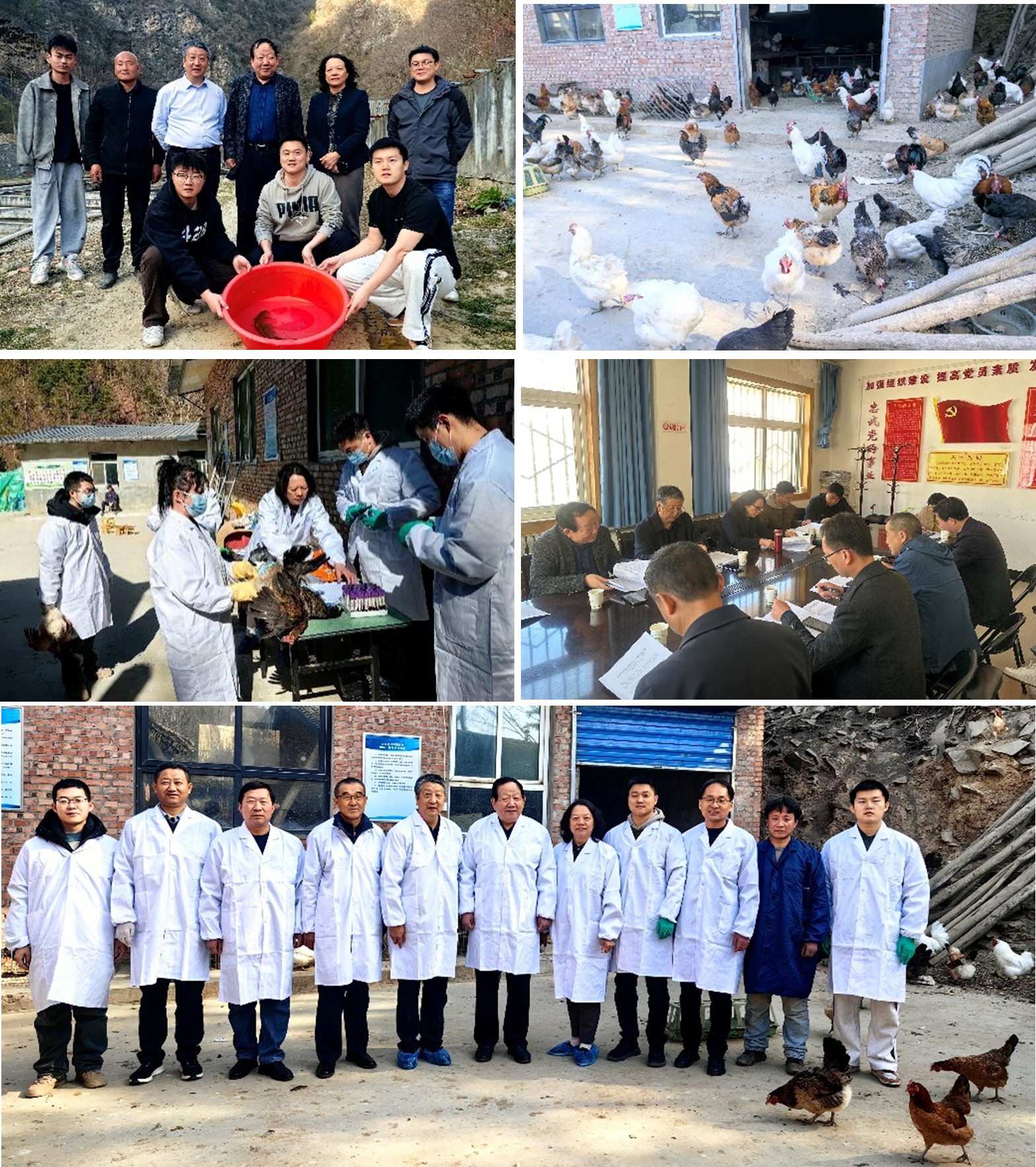 图片1.jpg