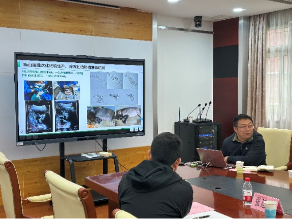 1762319193449489.png image.png