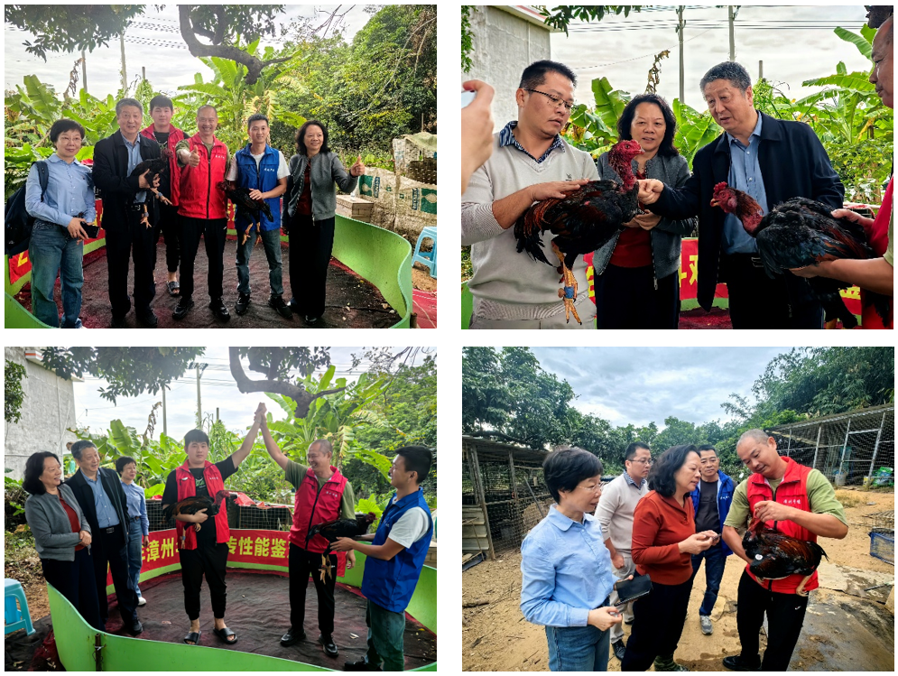 1763893479135210.png image.png