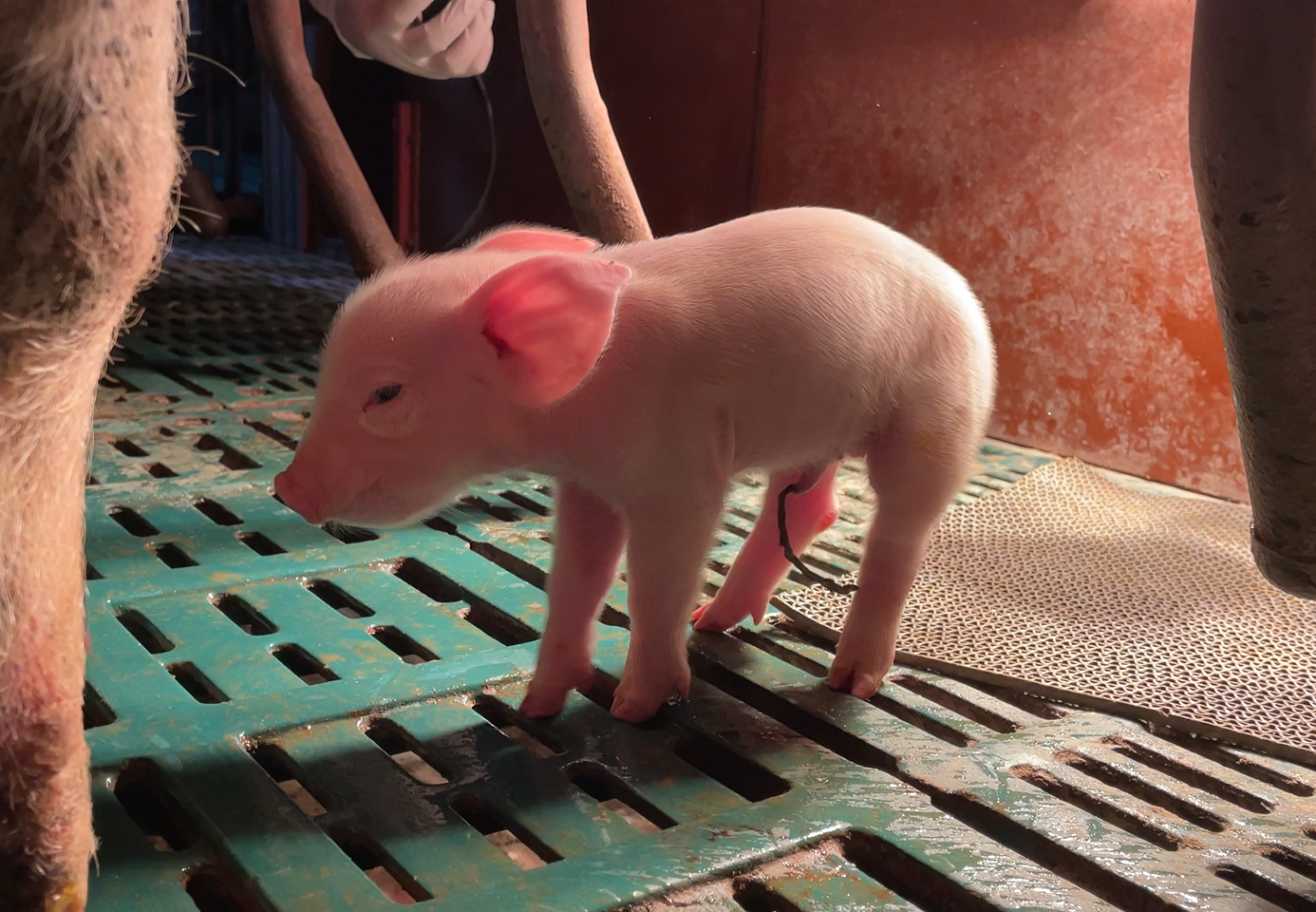 8f9544a5fb61879a1b3ead7050063054